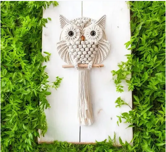 Macrame Owl Wall Hanging Decor